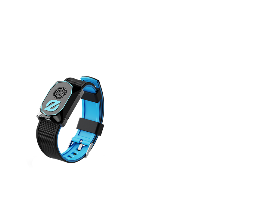 Wristband
