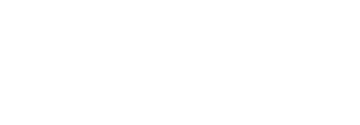 Platsky Logo